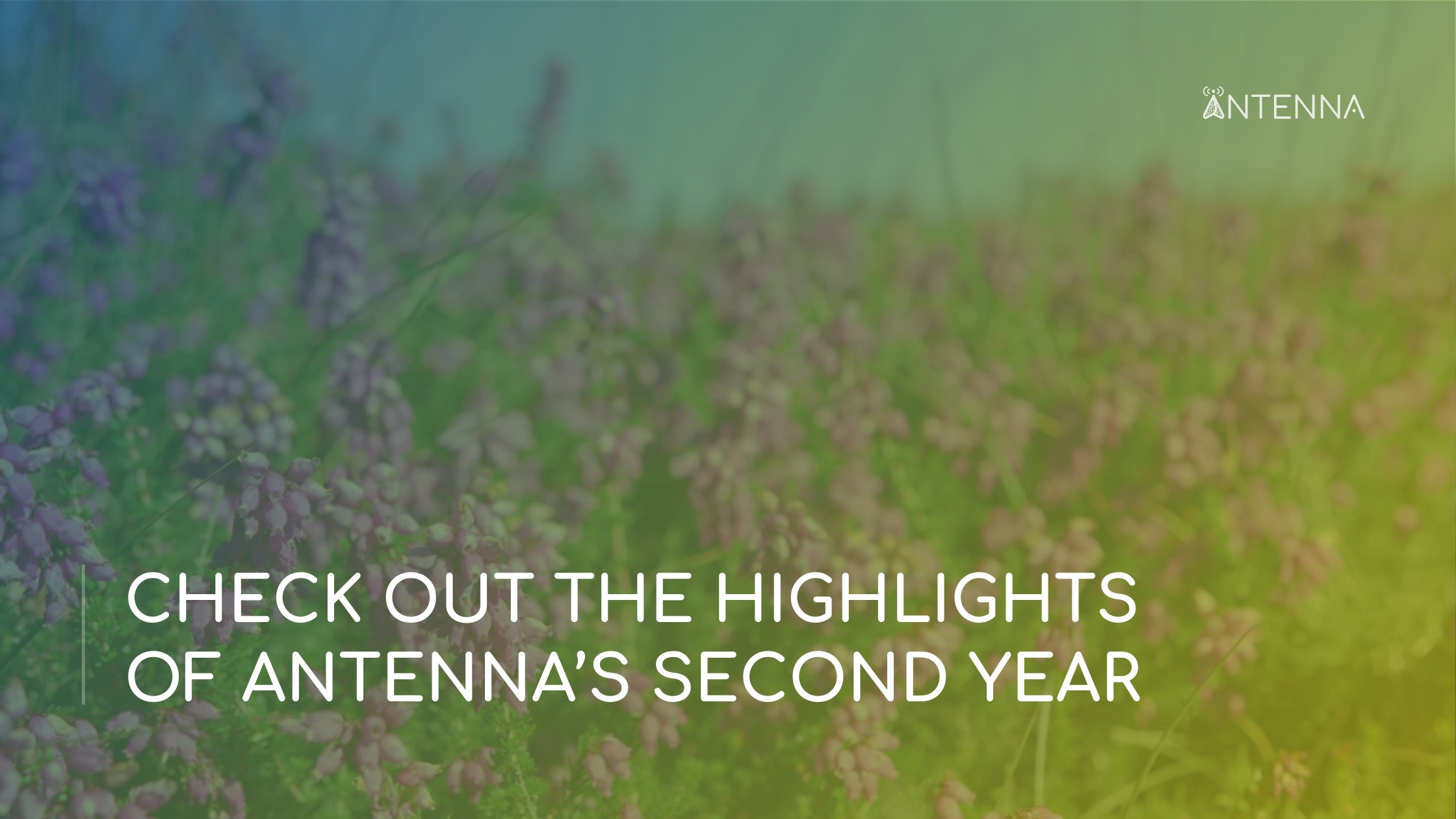 Highlights of ANTENNA's year: New video recaps our 2025