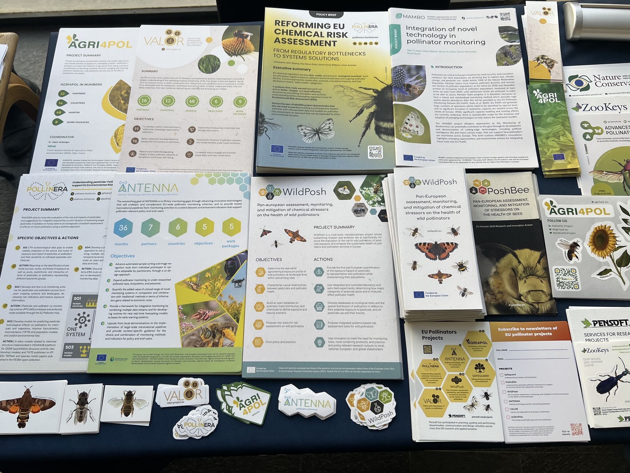 ANTENNA Travels: Project materials showcased at multiple pollinator project meetings