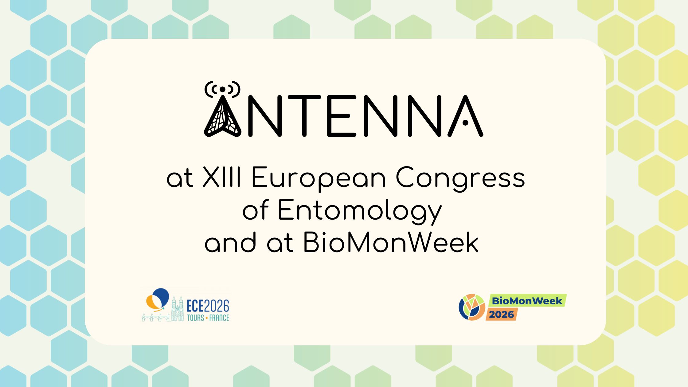 ANTENNA project materials showcased at XIII European Congress of Entomology and at BioMonWeek